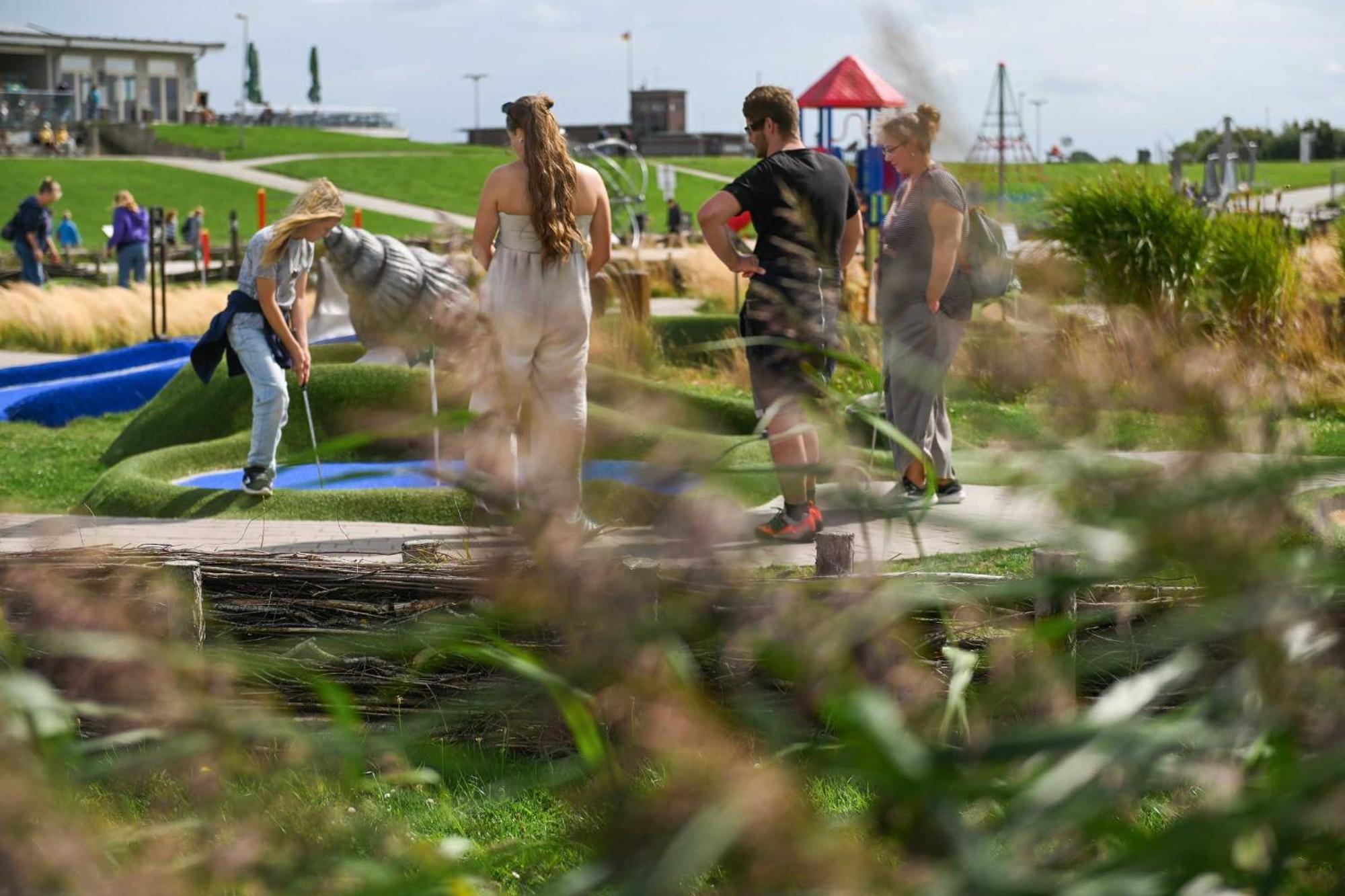 Tiny House Pioneer 18 Zur Meerseite - Green Tiny Village Harlesiel Carolinensiel Exterior foto